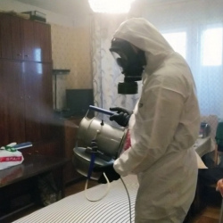 Дезинфекция от клопов в Холмске